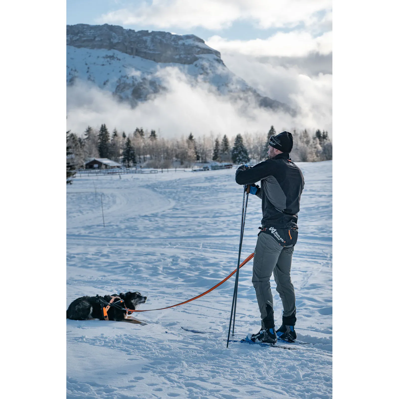 Non-stop Dogwear Loype Belt Pro - Image 5