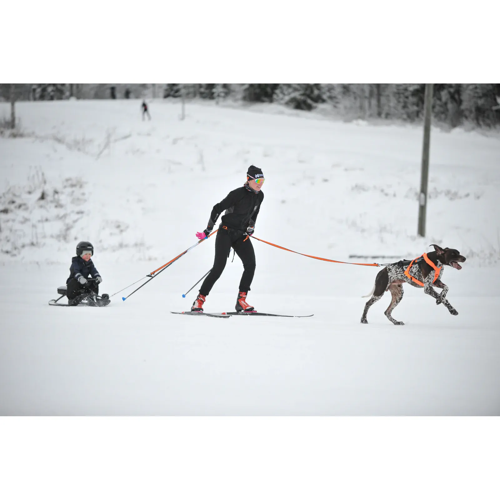 Non-stop Dogwear Loype Belt Pro - Image 6