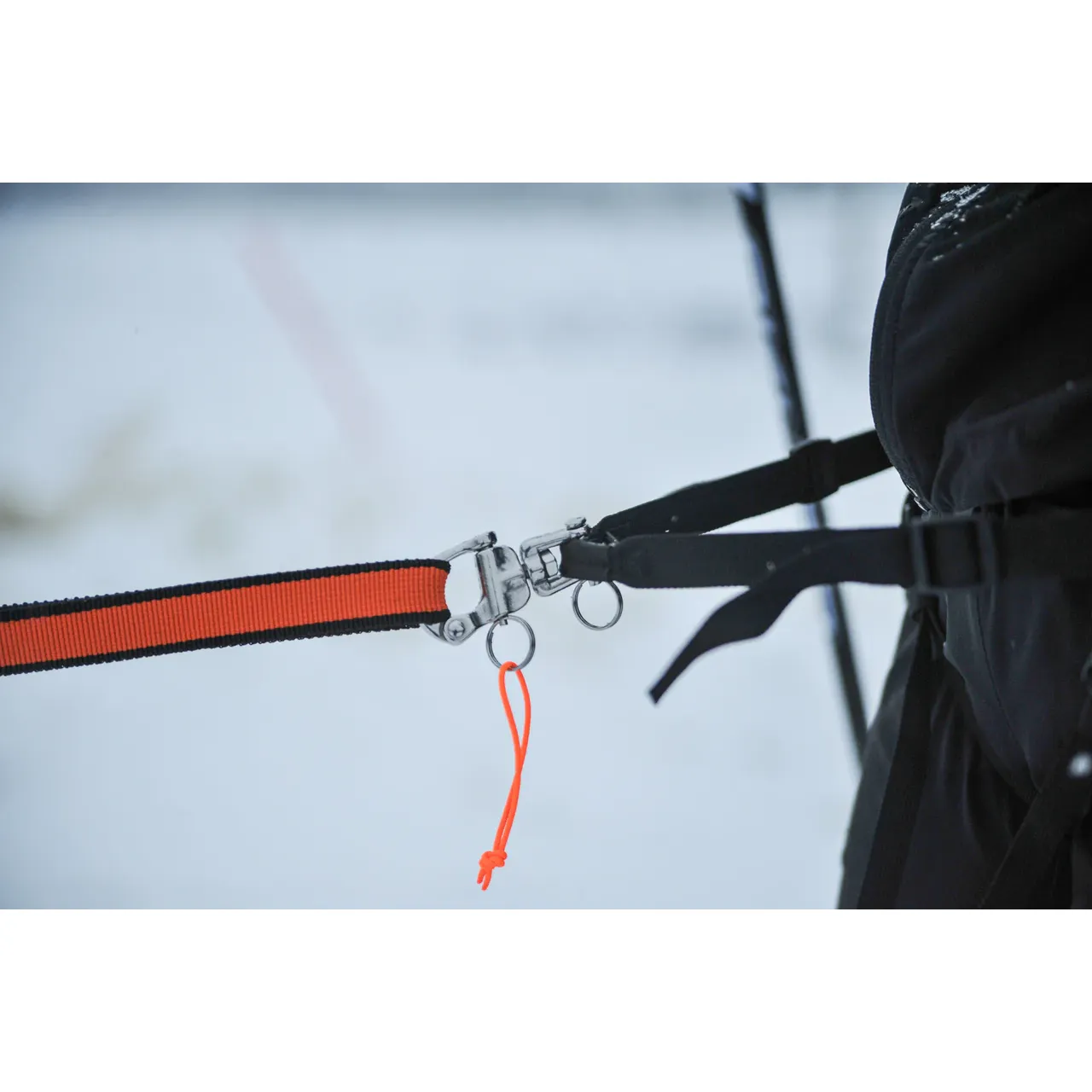 Non-stop Dogwear Loype Belt Pro - Image 8